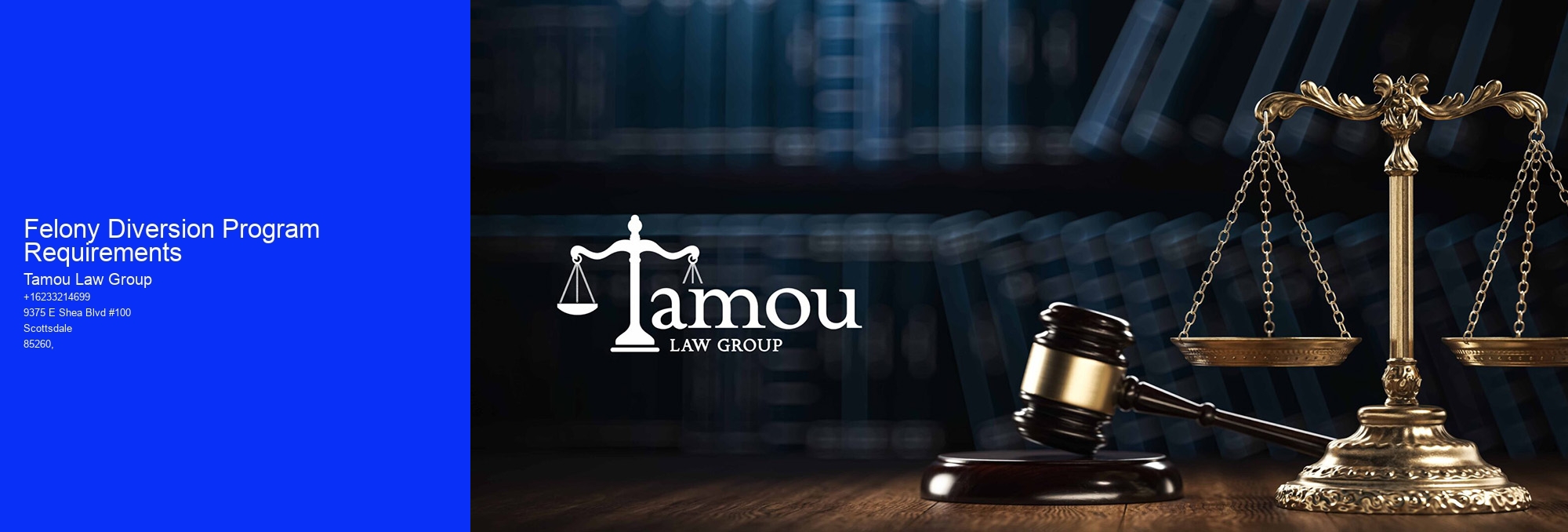 Felony Diversion Program Requirements