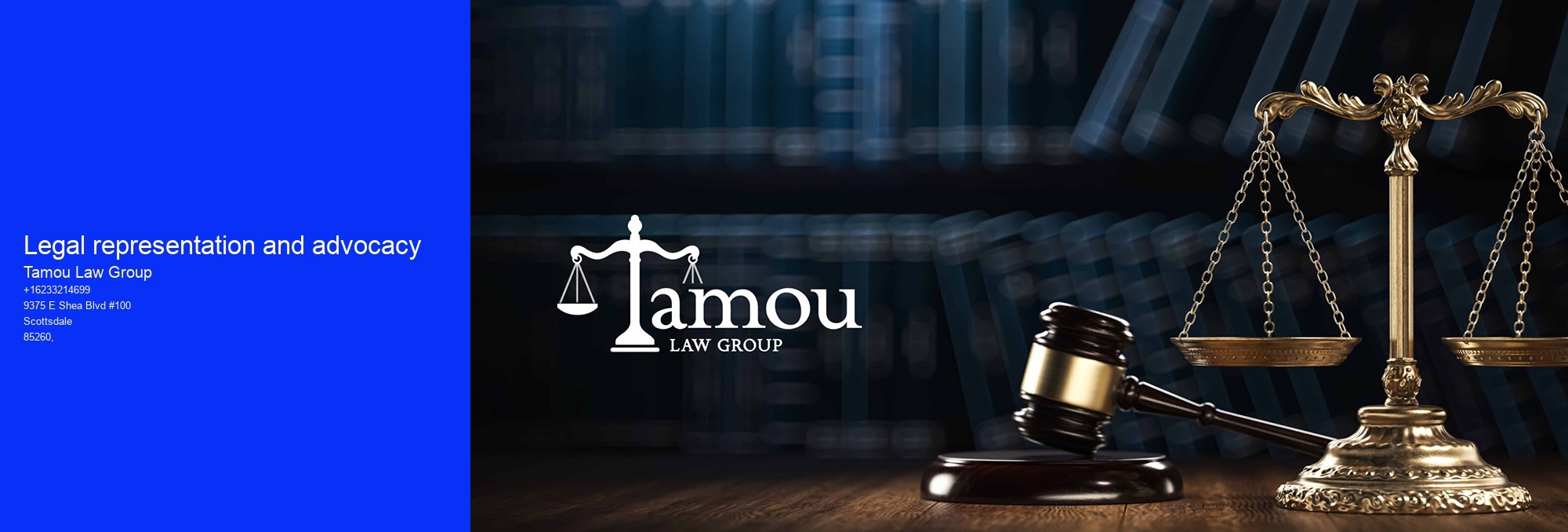 Legal representation and advocacy